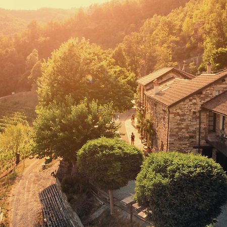 Cascina Bertolotto Wine Resort Spigno Monferrato Exterior foto