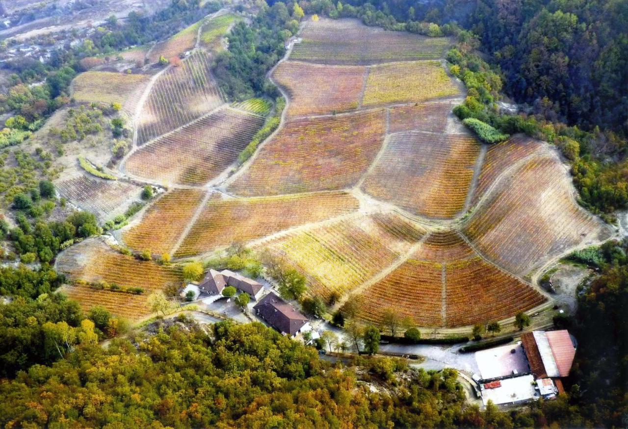 Cascina Bertolotto Wine Resort Spigno Monferrato Exterior foto