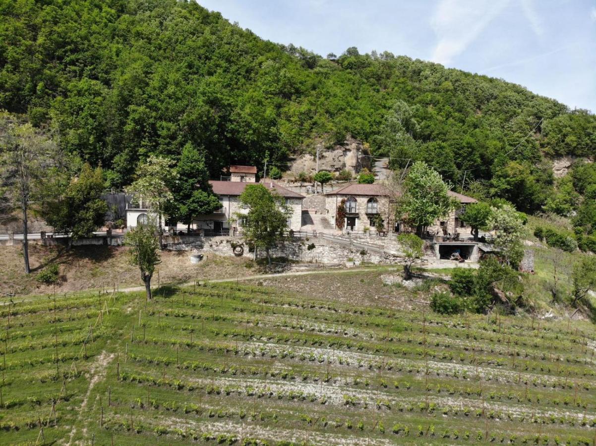 Cascina Bertolotto Wine Resort Spigno Monferrato Exterior foto