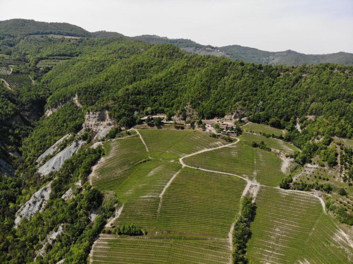 Cascina Bertolotto Wine Resort Spigno Monferrato Exterior foto